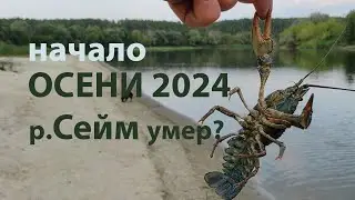 The beginning of the Fall 2024 season. Disaster in the Seim and Desna rivers.