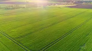 DJI Mavic Pro 2 - Frühling