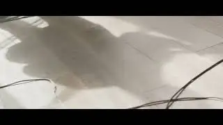 гр.Кино-2023 г.