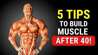 5 Tips For Muscle Building After 40 (And Mistakes to Avoid)