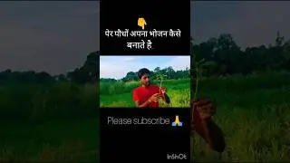 Photosynthesis (प्रकाश संश्लेषण) kya hai Part-1 🥰🥰? #shorts #trending #biology
