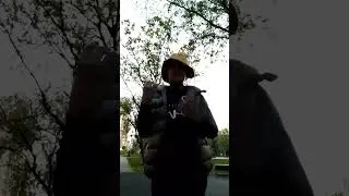 в этот момент включился свет в парке ого