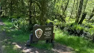 Hoh Rainforest Campground Quick Drive Through