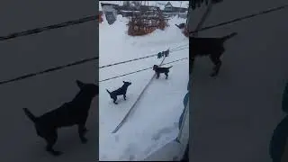 10 марта 2024 г.