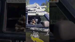 енот Витя на ниве 