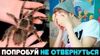 ПОПРОБУЙ НЕ ОТВЕРНУТЬСЯ ЧЕЛЕНДЖ | TRY NOT TO MOVE CHALLENGE