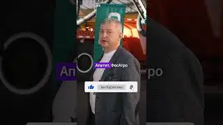 Куда поставляются самосвалы для работы в шахтах и рудниках