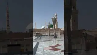 The Best Place in Madina (and Why You Should Go!)