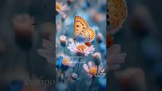 Доброе утро! Прекрасного дня!