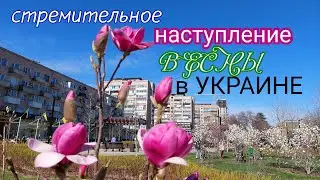 СТРЕМИТЕЛЬНОЕ  НАСТУПЛЕНИЕ весны