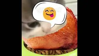 BANANA CAT 🍌🐱 BABY STEALS CHICKEN LEGS AND GETS CHASED BY DOG 