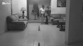 Entrenamiento RODEA #pastormalinois #dog #pets #shorts#pastorbelgamalinois #doglover #belgiadog