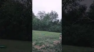 Vibe w/ Me (ft. the rain)