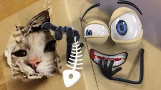 DOODLE MAGICIAN prank CAT - The Battle Turtle and Rabbit | Cartoon 3D #61 WOA Doodoo