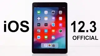 iPad Mini 2 iOS 12.3 Review!