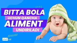 Bitta bolaga qancha aliment undiriladi?