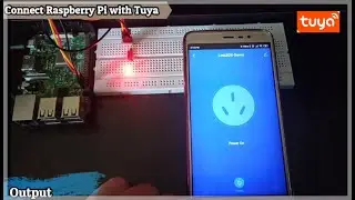 Raspberry Pi with Tuya IoT Platform | IoT |