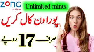 Zong daily internet package|Zong 1 day net pkg|Daily zong call package|Zong call packages