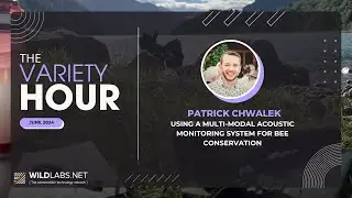Patrick Chwalek: BuzzCam: Using a multi-modal acoustic monitoring system for bee conservation