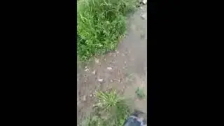 Из Сибири в прямом эфире!