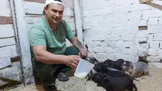 Они меня всегда ждут.