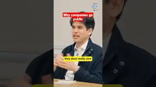 Why companies go public 