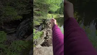 Beaver Lake Dam Failing After Recent Storms Part 1 Of 2