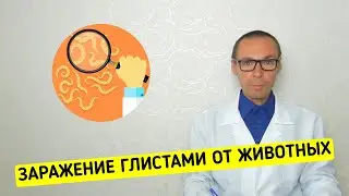 Может ли Человек заразиться Глистами от КОШЕК, СОБАК и других животных