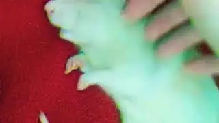 💃🏻 танцы от Фыры