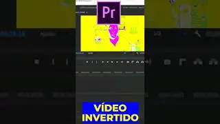 PREMIERE COM COR INVERTIDA AO EXPORTAR PARA A TIME LINE  #shorts