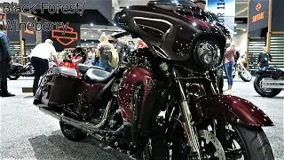 2019 CVO Street Glide Harley-Davidson │ All 3 Colors and What's New