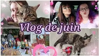 MONTHLY VLOG JUIN 2024 - Encore à fond : concert, sorties et marchés de créateurs ♥