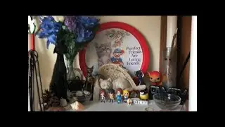 Showing you my familial alter