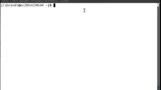 Linux Command (History)