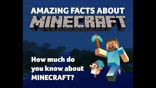 TOP 5 Mythbusters you didn't know