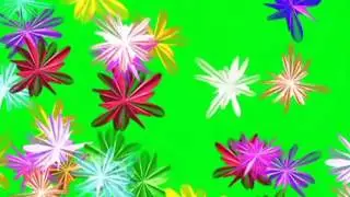 flowers green screen.effects.rose green screen effects.green screen