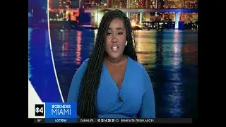 Moms and Miami detectives talk gun violence prevention