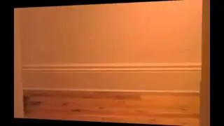 Katze auf Skateboard *lmw*