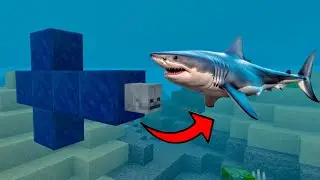 How to Spawn Shark in Minecraft
