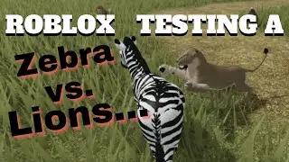 Roblox - Testing A (Wild Savannah) Zebra vs lions!