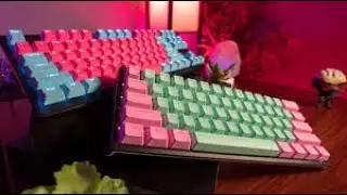 Asmr with keyboard and mouse