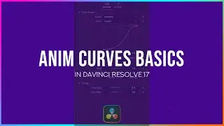 DaVinci Resolve 17 Anim Curves Basics