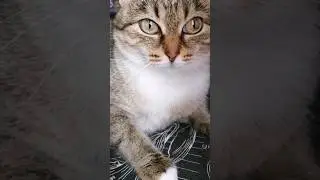 Нам надо серьёзно поговорить 