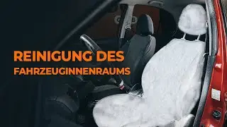 5 Fehler bei der Reinigung des Fahrzeuginnenraums | Tipps von AUTODOC