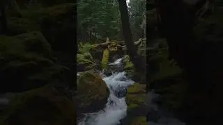 Beauty @ its peak.. #shorts #naturelovers #waterfall #beauty #travel #travelvlog #traveling #trip