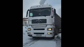 Арабский горн с мелодией акуленок