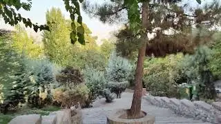 Video Quality With Huawei P60 Pro