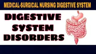 Disorders of Digestive Tract - Explained in Hindi/Urdu