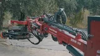 Gövde Sarsıcı Meyve Hasat Makinası