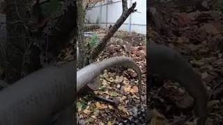 Первая вода с 6 метров из абиссинской скважины